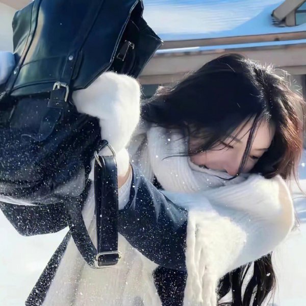 安妮回忆录