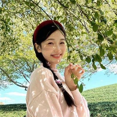 机器肉鸡第六季